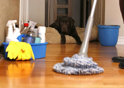 Logo of Go Go Cleaning